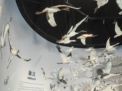 -中国湿地博物馆