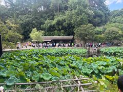 -韶山毛泽东同志故居