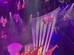 -广州长隆国际大马戏