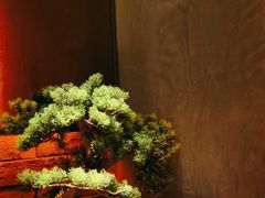 -避尘 Bsense·SPA(新会展总店)
