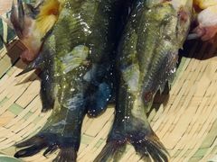 -铭记蛙小仙·活蛙畅享(CBD万达广场店)