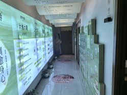 -阅年轻·AI家庭健康体质调理