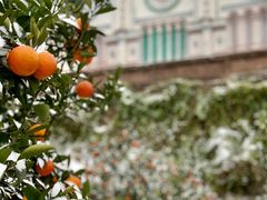 -舒家湾天主教堂