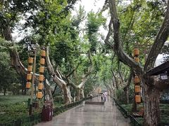 -杭州黄龙洞