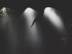 -甜莺蛋糕(顺盈时代广场店)