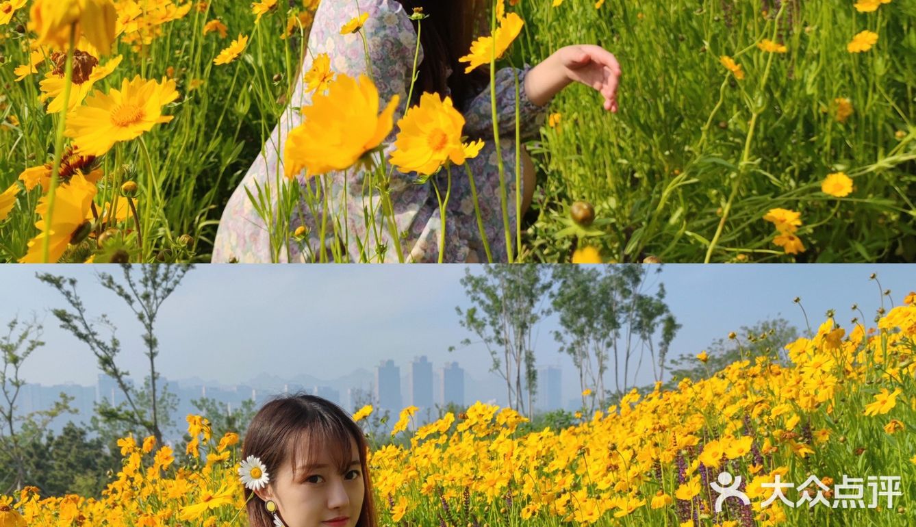 青岛休闲旅行攻略集合|美食＋行程安排