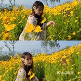 青岛休闲旅行攻略集合|美食＋行程安排