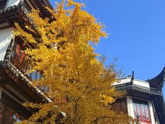 -南翔馒头店(豫园店)