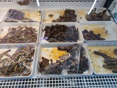 -青岛鲜啤(恒大未来城店)