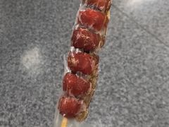 -和禄德冰糖葫芦