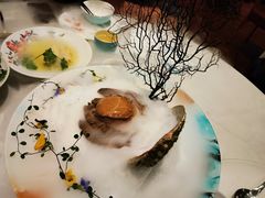 -蝶园·装修中(BFC外滩金融中心店)