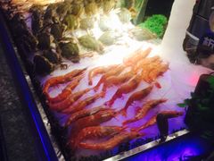 -鲜佰汇海鲜烤肉自助餐厅(银座商城泰安店)