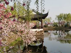 -无锡蠡湖国家湿地公园-蠡园