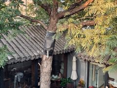 景观位-SUSU·苏苏(四合院创始店)