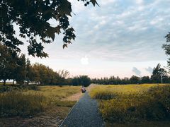 -汉长安城未央宫国家考古遗址公园