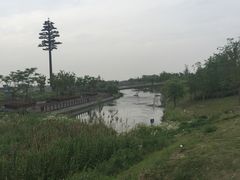 -江滩湿地公园