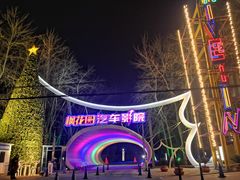 -枫花园汽车电影院(朝阳公园店)