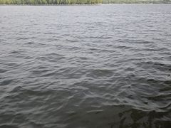 -济南国际园博园