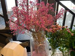 -新沙洞咖啡(泉乐坊店)