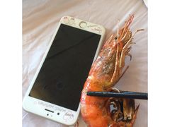 -山东八大碗山东老字号