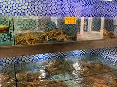 水产区-顺德了能馆(虎门店)