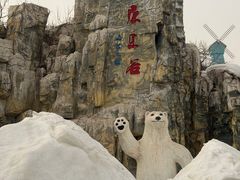-蓟洲国际滑雪场