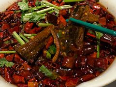 炝香水煮土鳝鱼-许家菜(望江店)