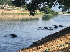 -杭州双溪漂流景区