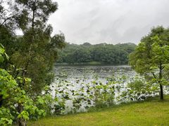 -福建鲤鱼洲酒店