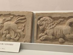 -洛阳古墓博物馆