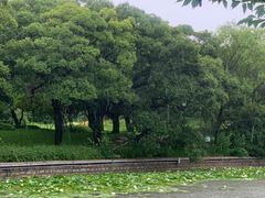 -八大关景区