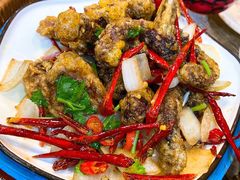 -老谷家黄泥烧鸽子·烧烤