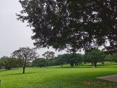-东莞植物园