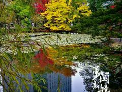 -北海道厅旧本厅舍(旧本庁舎)