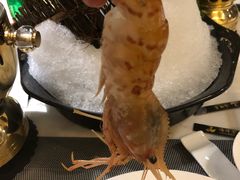 -海玥荟海鲜姿造自助餐厅(欧罗巴广场店)