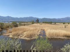 -野鸭湖国家湿地公园