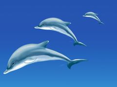 -臻江南影院式足道(雅安店)