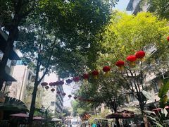 -泡桐树街