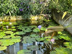 -国家植物园南园