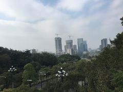 -玉树公园