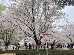 -西北湖绿化广场