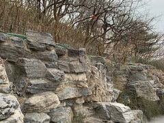 -郭守敬纪念馆