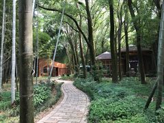 -同里国家湿地公园