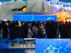 -泉城欧乐堡海洋极地世界