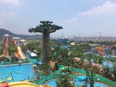 -苏州乐园森林水世界