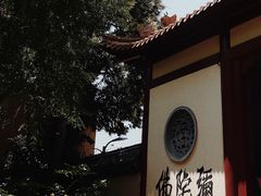 -赭山公园