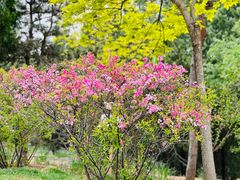 -北京西山国家森林公园