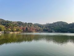 -西樵山风景名胜区-天湖公园