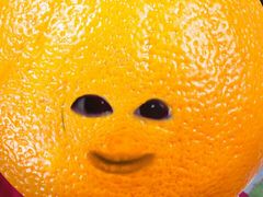 -丽莎蓓甜CAKE生日蛋糕·动物奶油(石家庄店)