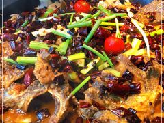 -老板恋上鱼(恒隆广场店)